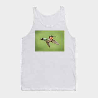 Hummingbird Male Ruby Throat Tank Top